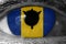 Barbados flag in the eye