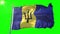 Barbados flag seamless looping 3D rendering video. Beautiful textile cloth fabric loop waving