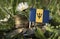 Barbados flag with stack of money coins with grass