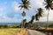 Barbados landscape