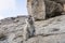 Barbary ground squirrel sitting on rock while holding food in paws and looking at camera