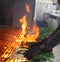 Barbecue fire with CalÃ§ots, a young Catalan onion, and it is called & x22;CalÃ§otada& x22;.  It& x27;s a barbecue with fire