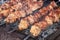 Barbecue grill-barbecue grill. appetizing shish kebab on metal g