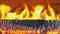 Barbecue Grill Flame Fire Charcoal BBQ Background