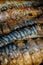 Barbecue, grill, kebab. Mackerel fish strung on wooden sticks and tied with string. Close-up.