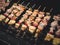 Barbecue grill on stove Meat on stick BBQ Party outdoor