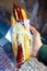 Barbecue grilled hot dog Street food