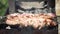 Barbecue Grilled pork kebabs meat lamb kebab marinated barbecue meat shashlik shish kebab outdoors picnic. Shashlik or