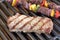 Barbecue. Grilled steak, shish kebab and grilled peppers, onion, on hot grill