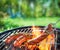 Barbecue picnic on a meadow