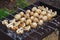 Barbecue skewers with grilled champignon mushroom kebab in a brazier