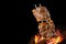 Barbecued Picanha barbecue with blurred fire in the background. Also called churrasco