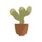 Barbed cactus plant growing in house pot. Indoor thorny houseplant with prickles in clay flowerpot. Abstract home cacti