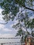 Barbed fence, blue sky and tree