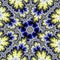barbed pic fractal in yellow and blue
