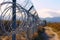 Barbed and razor wire fence. Fencing the state border against immigration