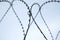 Barbed wire