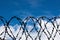 Barbed wire against the blue sky. It symbolizes prohibition or responsibility for non-fulfillment of requirements