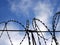 Barbed wire on the background the blue sky. Prison concept, rescue, refugee, space for text