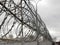 Barbed wire on background the gray sky. Prison concept, rescue, refugee, lonely, space for text
