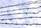 Barbed wire on a background of white-blue sky