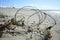 Barbed wire on a beach on Crete island