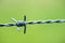 Barbed wire close up