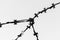 Barbed wire close up. Soft focus. The concept of the struggle for freedom. Copy space. Black and white image