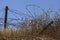 Barbed wire and dried shrubs against a blue sky