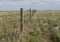 Barbed wire fence bordering farm property in the prairies wild grass of alberta