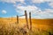 Barbed wire fence between golden summer meadows in Montana