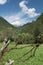 Barbed wire fence in pasture in alpine environment