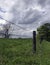 Barbed wire fence in portrait format