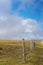 A Barbed Wire Fence Separating Dairy Pasture From A Dirt Road