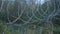 A barbed wire fence sways in a strong wind. Close-up of modern barbed wire