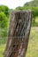 Barbed wire and fencing net on a support made of the trunk of a very old tree.