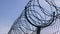 Barbed wire Hanging on the Border of Iron Fence on Against the Blue Sky. Zoom