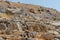 Barbed wire and historic military fortifications on rocky hillside on Mount Hermon, Israel