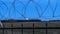 Barbed wire over abstract full moon sky background. Border with barbed wire of prison during night time with moon