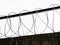 Barbed wire in a prison or in the army. Sharp military security fence. Close-up image. Crossed barbed wire.