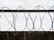 Barbed wire in a prison or in the army. Sharp military security fence. Close-up image. Crossed barbed wire.