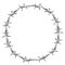 Barbed Wire Round Frame