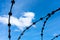 Barbed wire rusty on a background of blue sky