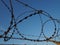 Barbed wire in skeins and stretched against the blue sky. Barbed wire against thieves and vandals. An insurmountable