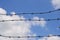 Barbed wire with summer day sky background