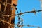 Barbed wire at times reminiscent of concentration camps