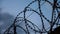 Barbed wire at the top of fence against the black, gloomy, dark sky with clouds.