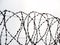 Barbed wire on a white background,close up