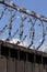 Barbed wire wound to the top of a fence