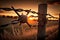 barbed wire wrapped around a wooden fence, with the sunset in the background